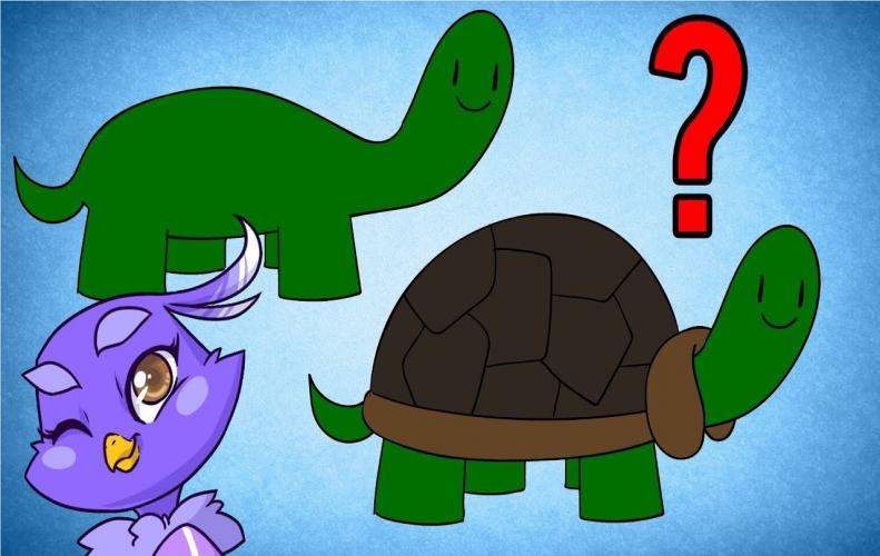 Turtle without Shell | the Most Bizarre Thing but Real