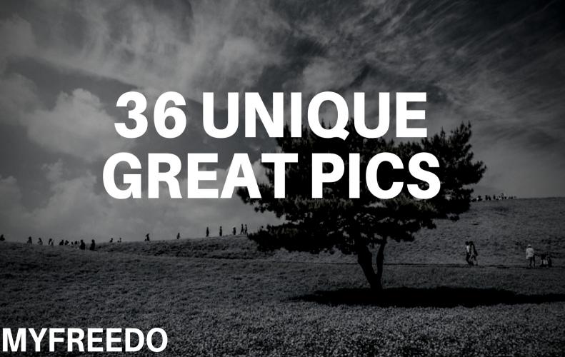 36 Unique Great Pics Clicked With Time and Perfection