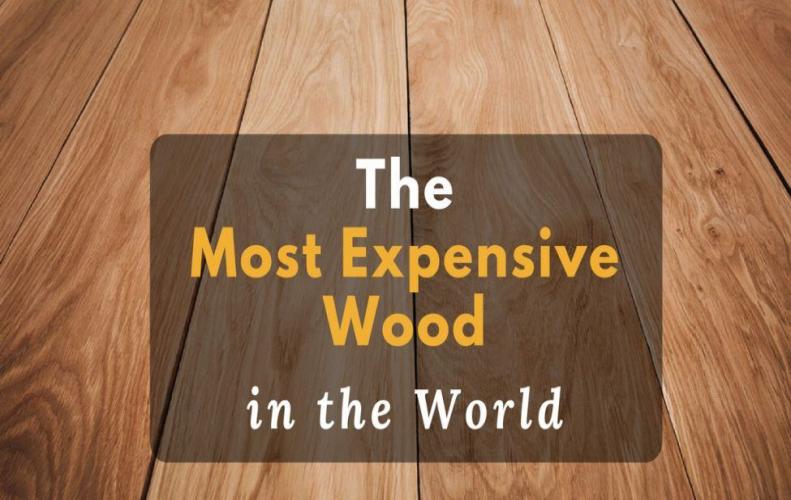 The Most Expensive Wood in the World 2025 The Most Expensive Wood in the World 2025...