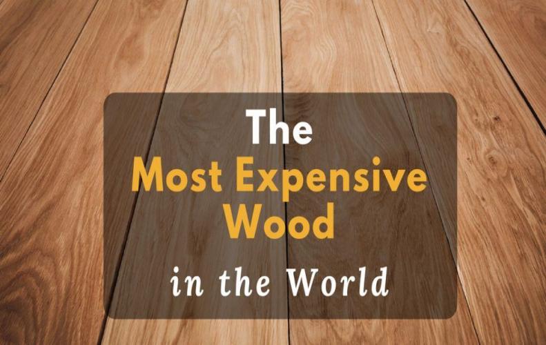 The Most Expensive Wood in the World 2018