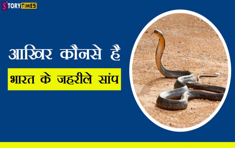 यह है भारत में पाए जाने ...