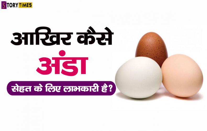 आखिर कैसे अंडा सेहत के लिए लाभकारी है? | How Eggs Are Beneficial For Health In Hindi