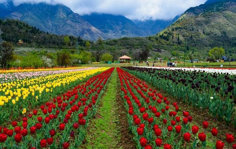कश्मीर के 10 पर्यटन स्थल | Top Visit Tourist Places of Kashmir In Hindi कश्मीर के 10 पर्यटन स्थल | Top Visit Tourist Places of Kashmir In Hindi