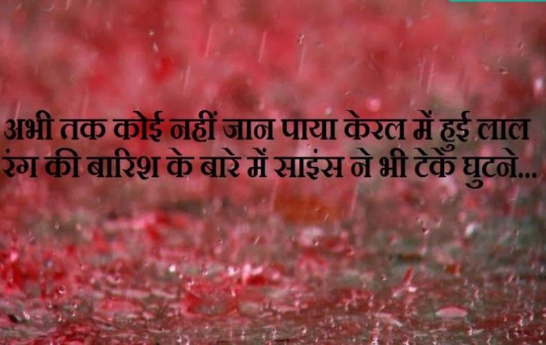अभी तक कोई नहीं जान पाया केरल में हुई लाल रंग की बारिश के बारे में, साइंस ने भी टेके घुटने... अभी तक कोई नहीं जान पाया केरल में हुई लाल रंग की बारिश के बारे में, साइंस ने भी टेके घुटने...