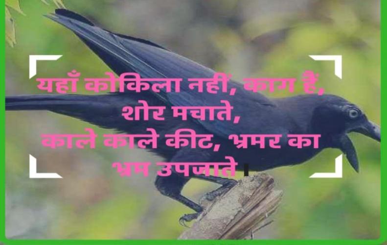 टॉप 10 हिंदी कविताएं | Top 10 ...